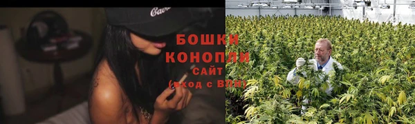 прущая мука Верея