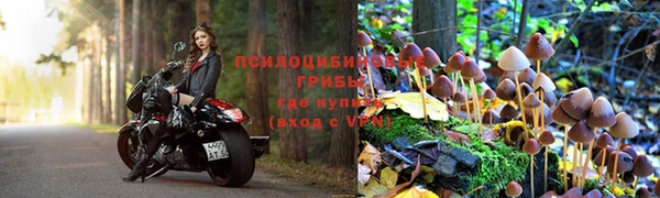 прущая мука Верея